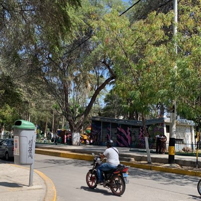 diemedx29's profile picture. 🐻