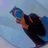 adiiaa_29's profile image