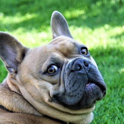 NadyWa68265's profile picture. 