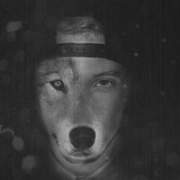 Human Wolves (@humanwolfs) 's Twitter Profile