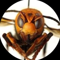 Johnny Bingo (@johnnybing367) 's Twitter Profile