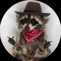 lolo (@cleardayout) 's Twitter Profile