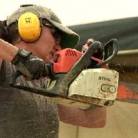 Chainsaw Sue 🇺🇸🇬🇧 (@suehallett9) 's Twitter Profile