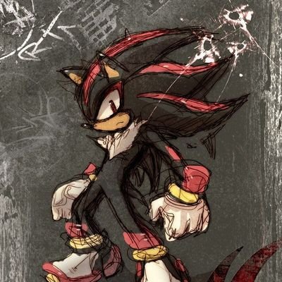 im shadow the hedgehog the ultimate life form created by Gerald robotnik (n)sfw rp Mdni I rp and Am a VA and Have open dms and am very kind