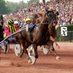 Ken Zoo 🇸🇪 🐎 (@kenz001966) Twitter profile photo Ken Zoo 🇸🇪 🐎 (@kenz001966) Twitter profile photo