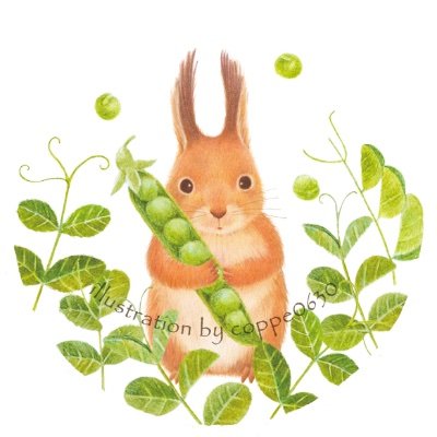coppe0630🐿 色鉛筆のアトリエさんのプロフィール画像