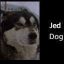 Kingly: An American Saga - Chapter 1 (@jedkingly) 's Twitter Profile Photo Kingly: An American Saga - Chapter 1 (@jedkingly) 's Twitter Profile Photo