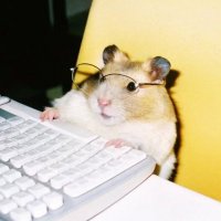 Working Class Diva ✨ (@liriobbbb) 's Twitter Profile