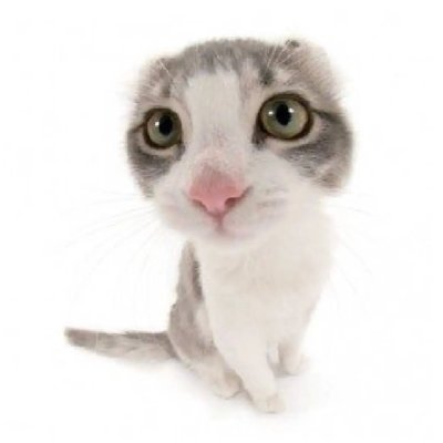 Panzer4fterDark's profile picture. After dark, staying past my bedtime.

This is a personal account

20