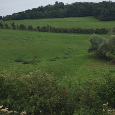 HsanSaleb's profile picture. 