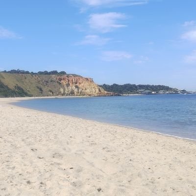 PTPK369's profile picture. 