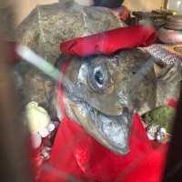 iPhone8 ピンク (@iropinkbangou8) 's Twitter Profile Photo