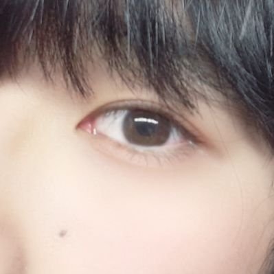 FFと結婚(25/6~)
北海道移住+SE(25/2~)
宮崎移住+PC修理(23/5~25/1)
駒澤大学GMS 卒(23/3)。
栃木県小山市 生(00/9)。
AIツイート生成「永愛AI」で起業したい(未定)。
INTJ AI要約:死と永遠、愛と孤独、美と記録を巡る思索者。世界を詩に変換する哲学的プログラマー