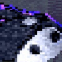 Zeas (@zeasfgc) 's Twitter Profile Photo