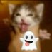 urielsito_pf (@meow_canelita) Twitter profile photo urielsito_pf (@meow_canelita) Twitter profile photo