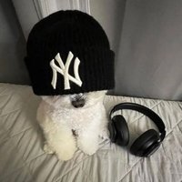 큥잎🍃 (@digneksql) 's Twitter Profile Photo 큥잎🍃 (@digneksql) 's Twitter Profile Photo