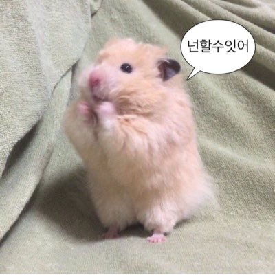 영앤리치 🤑