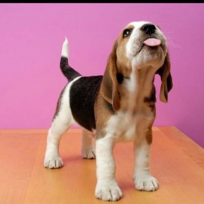 Rockinyerworld's profile picture. 