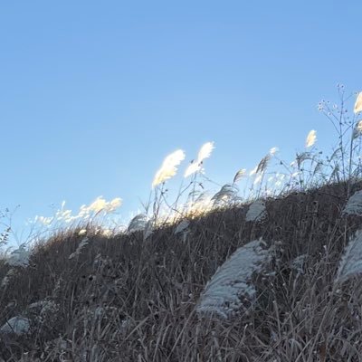 Sunanoooooo's profile picture. 