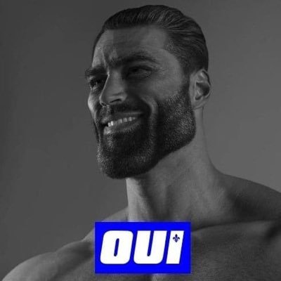 SilverFox2908's profile picture. Jeune québécois catholique de 24 ans, indépendantiste et nationaliste, trilingue: 🇫🇷 🇬🇧 🇮🇹