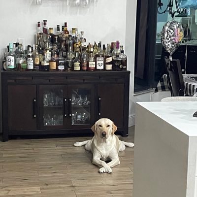 Machete752's profile picture. Do Not take anything serious. Opinions only! Do your Own DD.