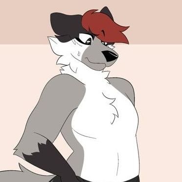 Asher Profile