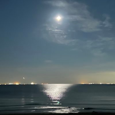 start20250104's profile picture. 新社会人/東京