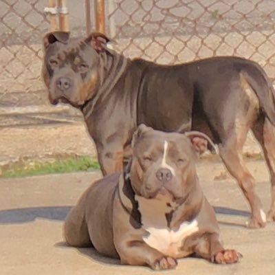 Reloaded3377's profile picture. 