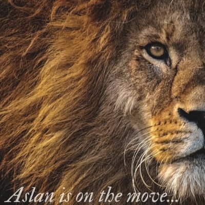 The big lion is Aslan. I'm just a little guy trying to do the right thing.