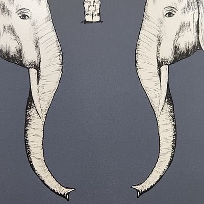 darrenkeene's profile picture. Project Manager.