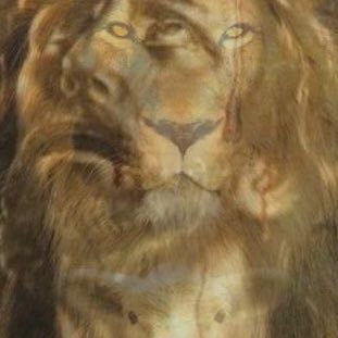 har20942681's profile picture. Truth speaker & seeker