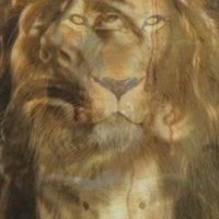 David (@lukehar20942681) 's Twitter Profile