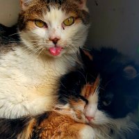 lilou (@lilou75905975) 's Twitter Profile Photo