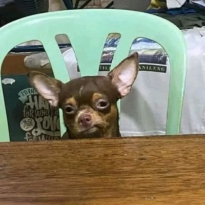 Milemilexo's profile picture. 