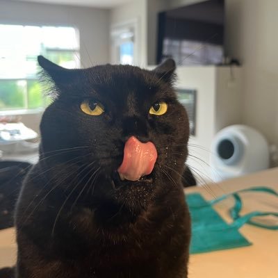 Susp3nse_'s profile picture. Just a guy, playing a guy, playing a video game