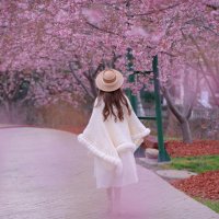 Dewdrop Kiss (@fernandatirisa) 's Twitter Profile