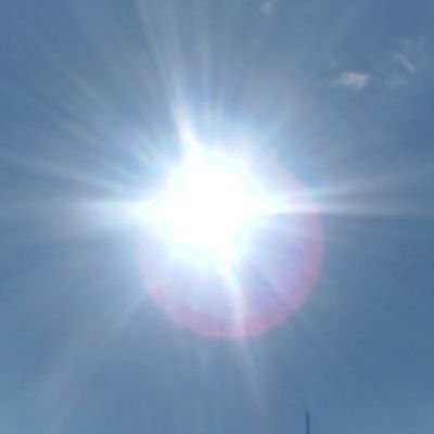 もうエレファントカシマシ・宮本浩次のコンサートしか楽しめない!まだまだGOGO! 無言フォロー失礼します&どうぞ。