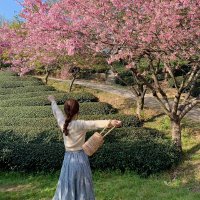 Life is like a dream (@fiekierafeeq) 's Twitter Profile