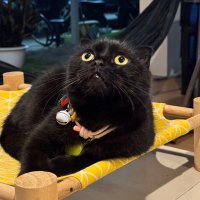 Karu~ZhanZhan~มัมมี้ก๊วยเจ๋ง🏹 (@mbkaruna) 's Twitter Profile Photo Karu~ZhanZhan~มัมมี้ก๊วยเจ๋ง🏹 (@mbkaruna) 's Twitter Profile Photo