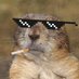 Gambling Gopher (@gambling_gopher) Twitter profile photo Gambling Gopher (@gambling_gopher) Twitter profile photo