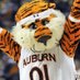 ✈️🐯AUTigerCountry🐯✈️ (@tigernationwe) Twitter profile photo ✈️🐯AUTigerCountry🐯✈️ (@tigernationwe) Twitter profile photo
