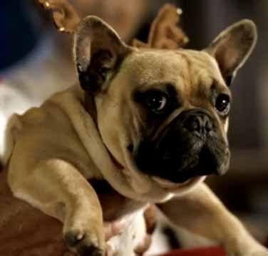 media27design's profile picture. 