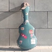 関西学生ギタリスト会議 (@kansaiguitarstu) Twitter profile photo