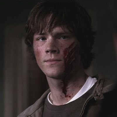 🌲 oh. of course. so it was just another time where you had to protect me 🌲 #SAMDEAN 🌲
@dreamofstabbin