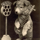 Tim Atkinson - @timisbusy - Twitter