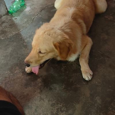 IamMamaeth's profile picture. Gamer
Streamer
WEB3 Degen
MEMECOINS 
Actively Networking here since 2022