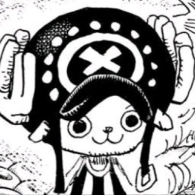 BoiRaccoon's profile picture. 