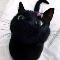 ninia (@yerepark127) 's Twitter Profile Photo ninia (@yerepark127) 's Twitter Profile Photo