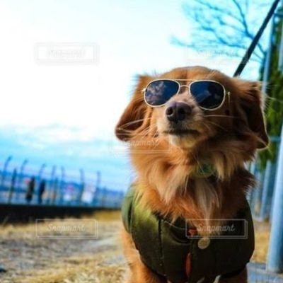 Q59428041's profile picture. R7航空大学校🌸/72−Ⅲ