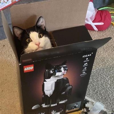 Juliaobacru's profile picture. Instructora de Yoga, hondureña hasta la médula y mamá gatuna, si no te agradan los gatos no me sigas